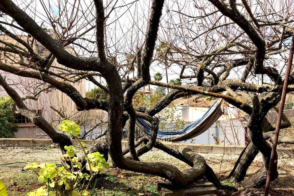 Casa Tia Ines Βίλα Vilaflor Εξωτερικό φωτογραφία